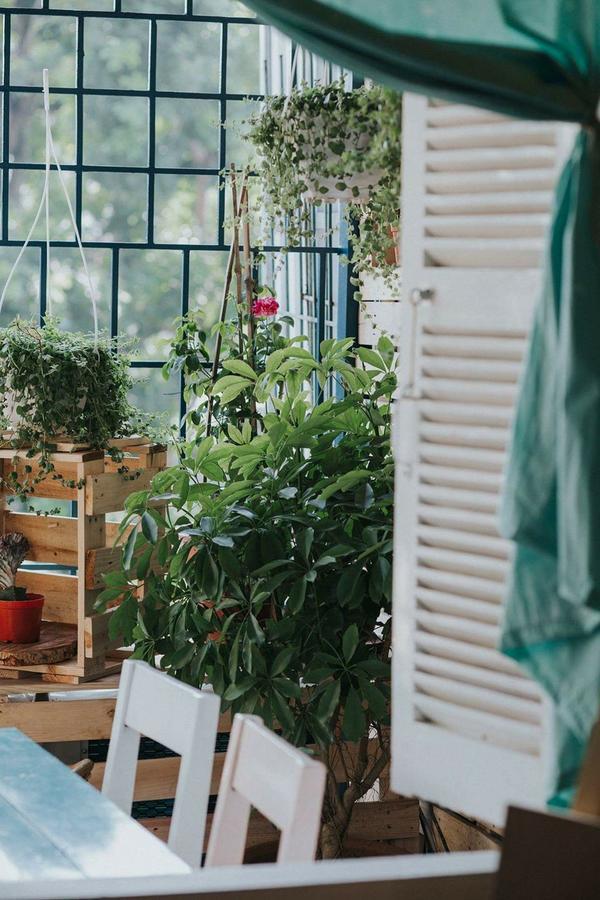 Хостел Momento Boutique House 1 Ханой Екстер'єр фото